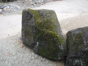 DSCF7057