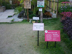 awards_img004