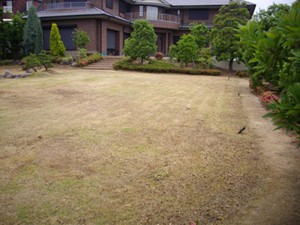 general_img024