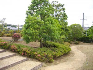 general_img026