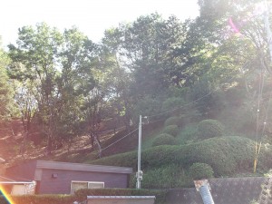 general_img043