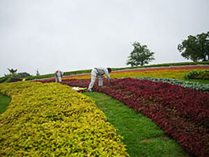 maintenance_img005