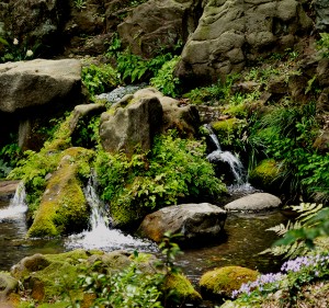 sp_image1