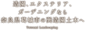 sp_main_copy